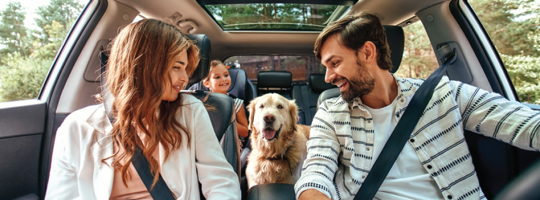 Happy family and dog driving in a car. 